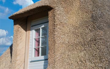 Shocklach thatch roof disadvantages